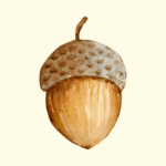 ESゼミ締切-2025年11月